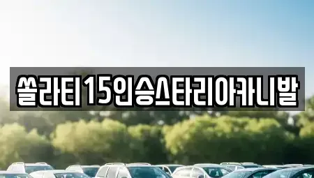 강원 춘천시 교동 렌트카 전문 쏠라티15인승스타리아카니발