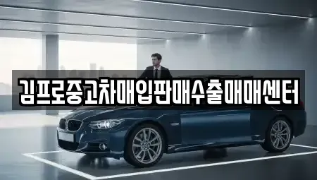 강원 춘천시 교동 중고차 전문 김프로중고차매입판매수출매매센터