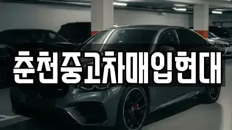 강원 춘천시 중고차매입 전문 춘천중고차매입현대