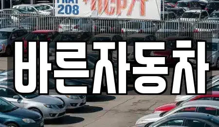 강원 홍천군 북방면 중고차 전문 바른자동차