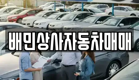 강원특별자치도 강릉시 병산동 중고차 전문 배민상사자동차매매