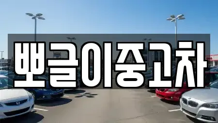 강원특별자치도 동해시 이로동 중고차 전문 뽀글이중고차