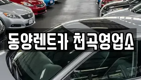 강원특별자치도 동해시 효가동 렌트카 전문 동양렌트카 천곡영업소