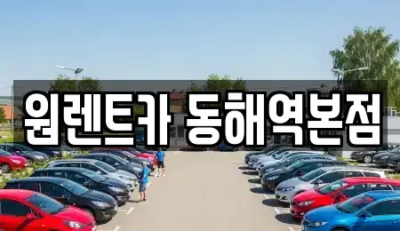강원특별자치도 동해시 효가동 렌트카 전문 원렌트카 동해역본점