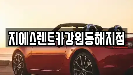 강원특별자치도 동해시 효가동 렌트카 전문 지에스렌트카강원동해지점