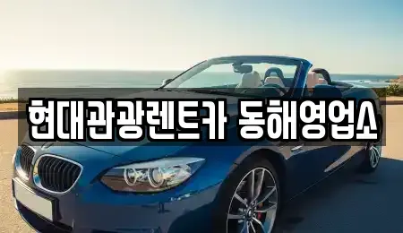 강원특별자치도 동해시 효가동 장기렌트카 전문 현대관광렌트카 동해영업소