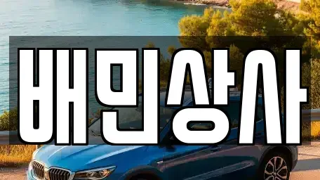 강원특별자치도 동해시 효가동 중고차 전문 배민상사