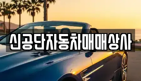 강원특별자치도 동해시 효가동 중고차,렌트카,중고차매입,중고차매매,장기렌트카,단기렌트카