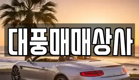 강원특별자치도 원주시 관설동 중고차매매 전문 대풍매매상사