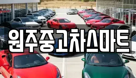 강원특별자치도 원주시 관설동 중고차매매,단기렌트카,중고차매입,장기렌트카,중고차,렌트카