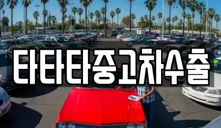 강원특별자치도 원주시 관설동 중고차매매 전문 타타타중고차수출