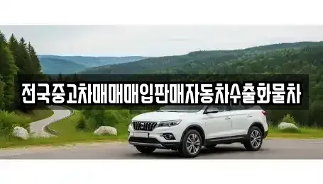 강원특별자치도 원주시 관설동 중고차매입 전문 전국중고차매매매입판매자동차수출화물차