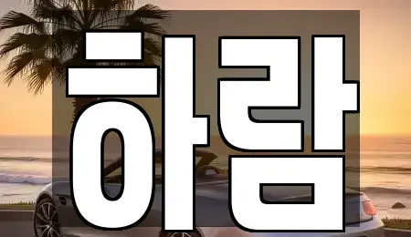 강원특별자치도 원주시 단구동 장기렌트카 전문 하람