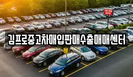 강원특별자치도 원주시 단구동 중고차 전문 김프로중고차매입판매수출매매센터