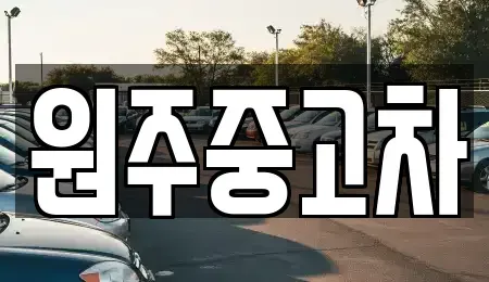 강원특별자치도 원주시 단구동 중고차 전문 원주중고차
