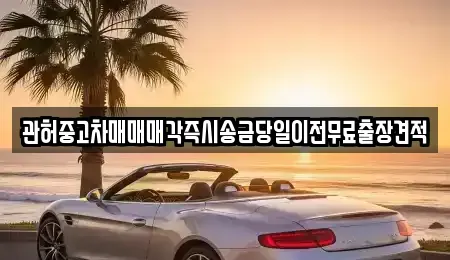 강원특별자치도 정선군 화암면 중고차매매 전문 관허중고차매매매각즉시송금당일이전무료출장견적