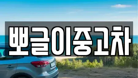 강원특별자치도 정선군 화암면 단기렌트카,중고차매입,중고차매매,중고차,렌트카,장기렌트카
