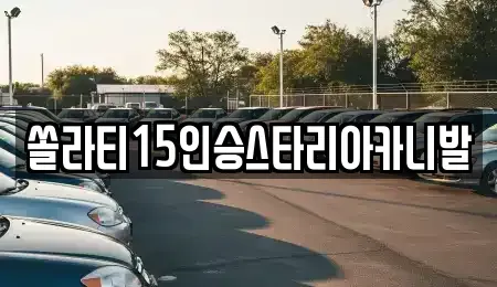 강원특별자치도 춘천시 신동면 렌트카 전문 쏠라티15인승스타리아카니발