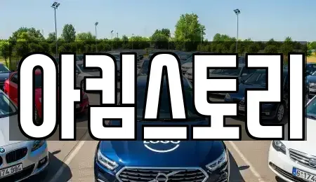 강원특별자치도 춘천시 신동면 중고차 전문 아킴스토리