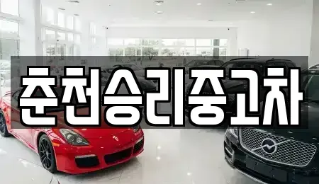 강원특별자치도 춘천시 신동면 중고차 전문 춘천승리중고차