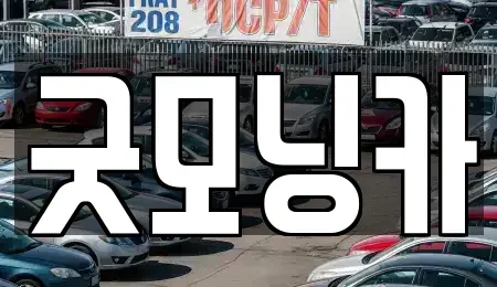강원특별자치도 춘천시 요선동 중고차매매 전문 굿모닝카
