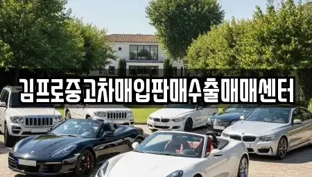 강원특별자치도 춘천시 요선동 중고차매입 전문 김프로중고차매입판매수출매매센터