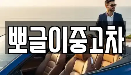 강원특별자치도 태백시 동점동 중고차 전문 뽀글이중고차
