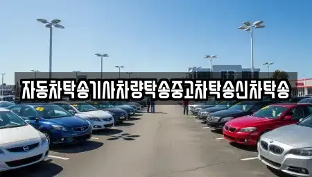 강원특별자치도 태백시 동점동 중고차 전문 자동차탁송기사차량탁송중고차탁송신차탁송
