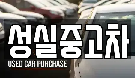강원특별자치도 태백시 통동 중고차 전문 성실중고차