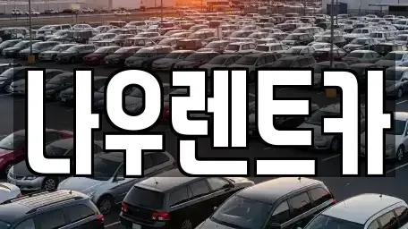 강원특별자치도 평창군 방림면 장기렌트카 전문 나우렌트카