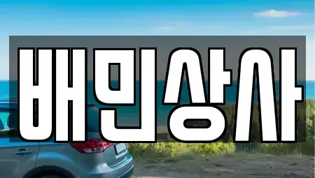 강원특별자치도 평창군 방림면 중고차매매 전문 배민상사
