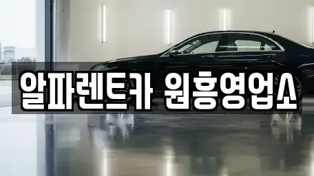 경기 고양시 덕양구 도내동 렌트카 전문 알파렌트카 원흥영업소
