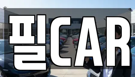 경기 고양시 덕양구 도내동 중고차 전문 필CAR