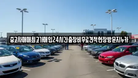 경기 고양시 덕양구 도내동 중고차매입 전문 중고차매매최고가매입24시간출장비무료견적현장방문지누카