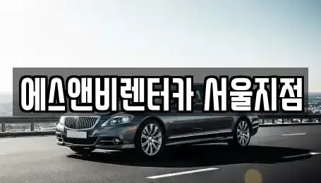 경기 고양시 덕양구 현천동 단기렌트카 전문 에스앤비렌터카 서울지점