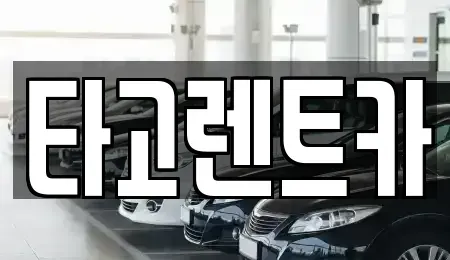 경기 고양시 덕양구 현천동 렌트카 전문 타고렌트카