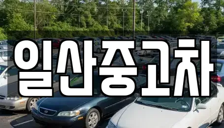 경기 고양시 덕양구 현천동 중고차 전문 일산중고차
