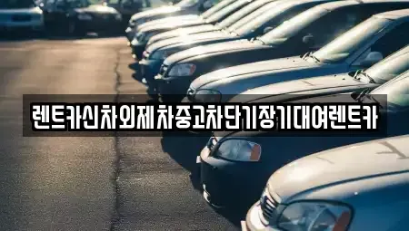 경기 과천시 막계동 단기렌트카 전문 렌트카신차외제차중고차단기장기대여렌트카