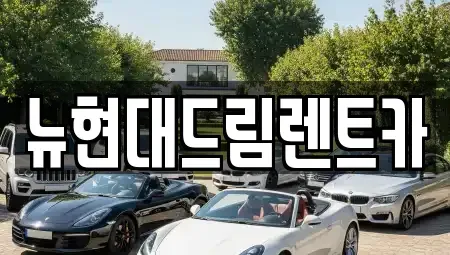 경기 과천시 막계동 렌트카 전문 뉴현대드림렌트카