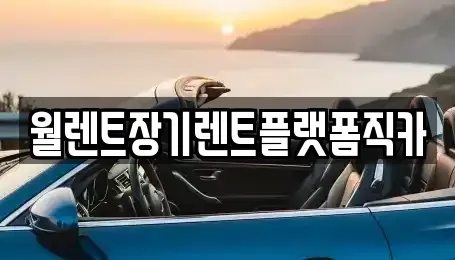 경기 과천시 막계동 장기렌트카 전문 월렌트장기렌트플랫폼직카