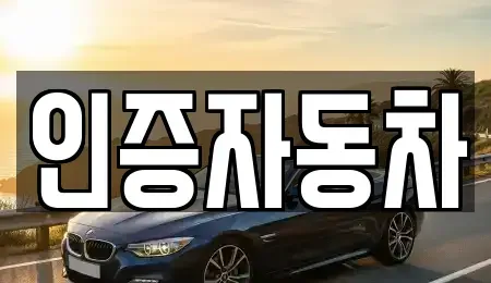 경기 과천시 막계동 중고차매매 전문 인증자동차