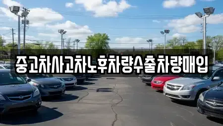 경기 과천시 막계동 중고차매입 전문 중고차사고차노후차량수출차량매입