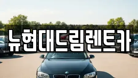 경기 과천시 중앙동 렌트카 전문 뉴현대드림렌트카