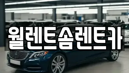 경기 과천시 중앙동 렌트카 전문 월렌트솜렌트카