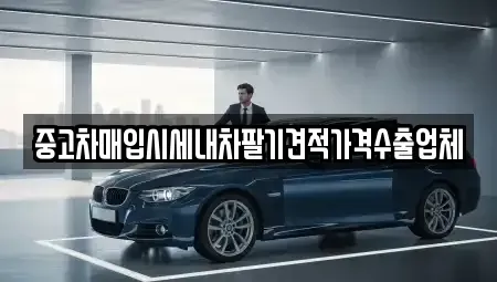 경기 과천시 중앙동 중고차 전문 중고차매입시세내차팔기견적가격수출업체