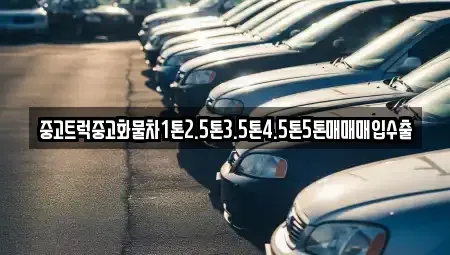 경기 과천시 중앙동 중고차 전문 중고트럭중고화물차1톤2.5톤3.5톤4.5톤5톤매매매입수출