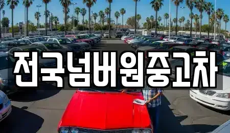 경기 과천시 중앙동 중고차매매 전문 전국넘버원중고차