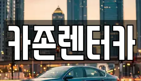 경기 광주시 송정동 단기렌트카 전문 카존렌터카