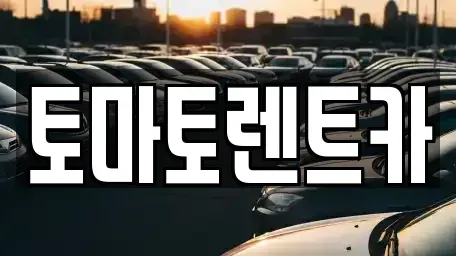 경기 광주시 송정동 렌트카 전문 토마토렌트카