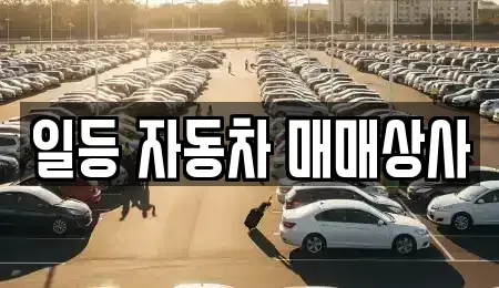 경기 광주시 송정동 중고차 전문 일등 자동차 매매상사